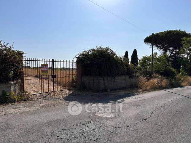 Terreno agricolo in commerciale in Vicolo Grotte Maria 7