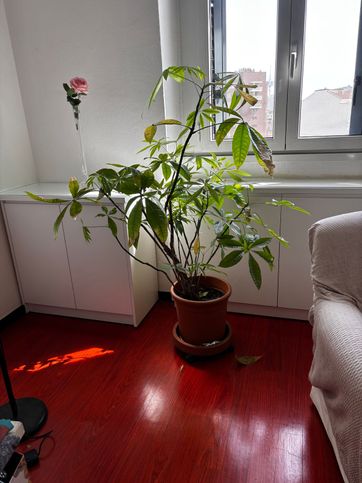 Appartamento in residenziale in Piazza Diocleziano