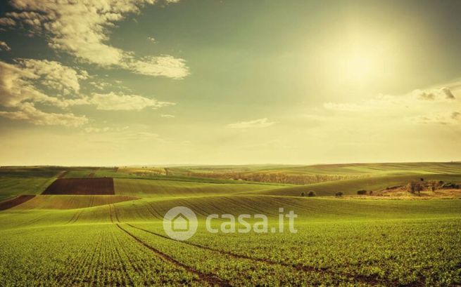 Terreno agricolo in commerciale in Via Umberto Masotto 17 -1