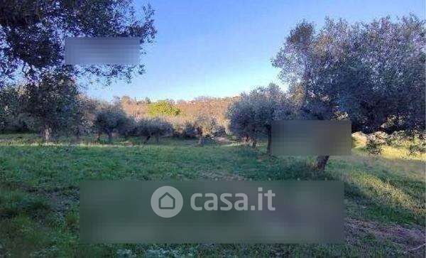 Terreno agricolo in commerciale in Via Alcide De Gasperi