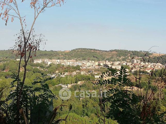 Terreno agricolo in commerciale in Contrada Piano Cannata