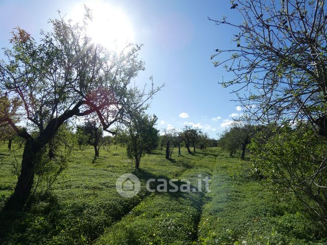 Terreno agricolo in commerciale in chiusazza