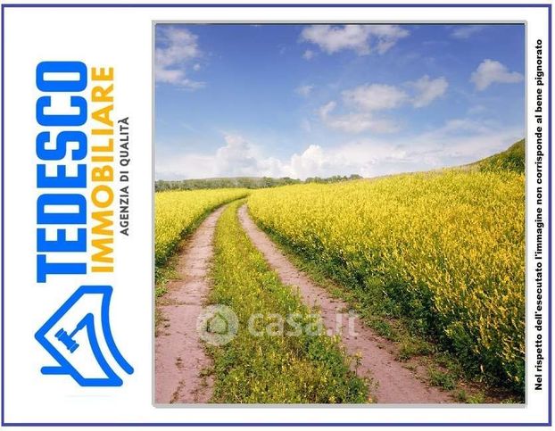 Terreno agricolo in commerciale in Via pirozzi