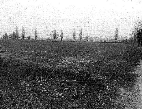 Terreno edificabile in residenziale in Via Rimembranze