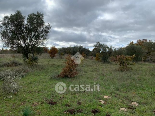 Terreno agricolo in commerciale in 