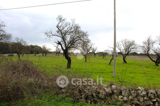 Terreno agricolo in commerciale in Contrada Cento Pezze