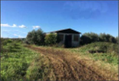 Terreno agricolo in commerciale in Via Castellone