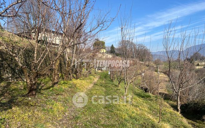 Terreno agricolo in commerciale in Località colle