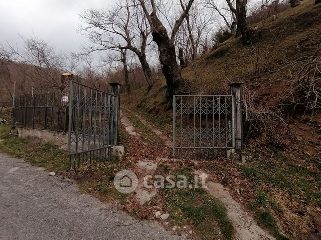 Terreno agricolo in commerciale in gauro