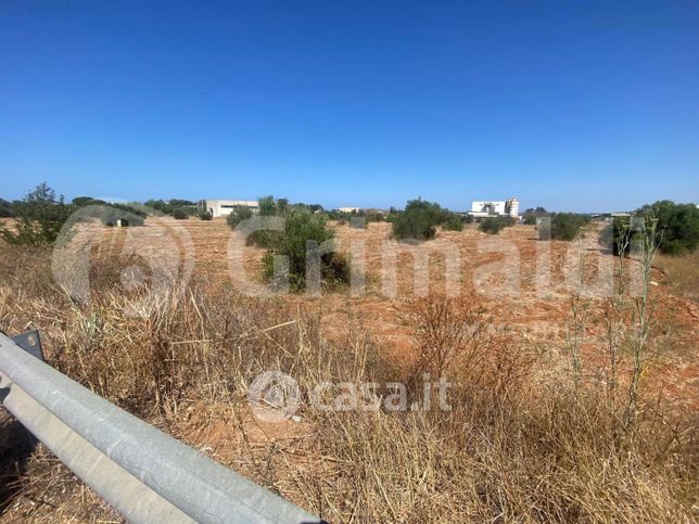 Terreno agricolo in commerciale in Strada Provinciale 52