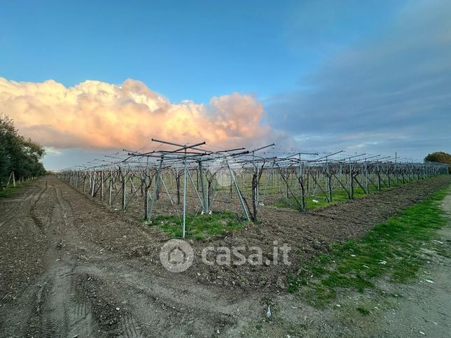 Terreno agricolo in commerciale in Via San Martino