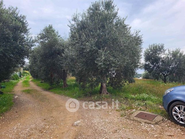 Terreno agricolo in commerciale in 