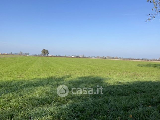 Rustico/casale in residenziale in Via Nello Lasagni