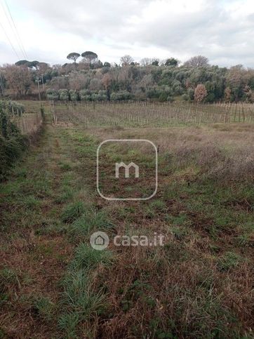 Terreno agricolo in commerciale in Via Massarosa