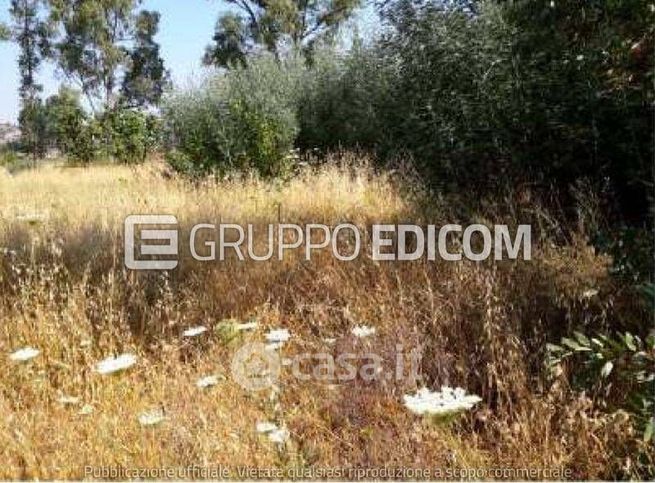 Terreno agricolo in commerciale in Contrada Pila