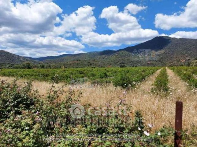 Terreno agricolo in commerciale in 