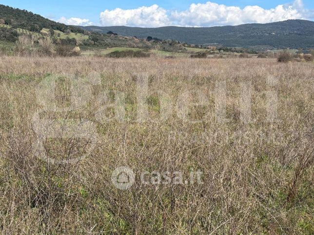 Terreno agricolo in commerciale in Via Marsiliana 43