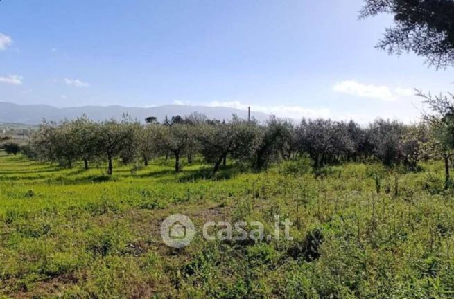 Terreno edificabile in residenziale in Frazione Fabbri