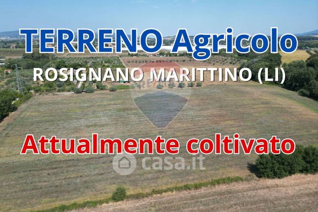 Terreno agricolo in commerciale in Stradone del Tripesce