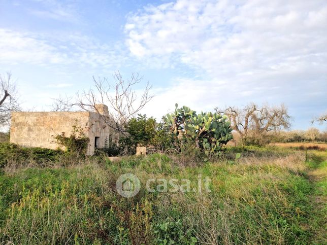 Terreno agricolo in commerciale in Contrada Paduli