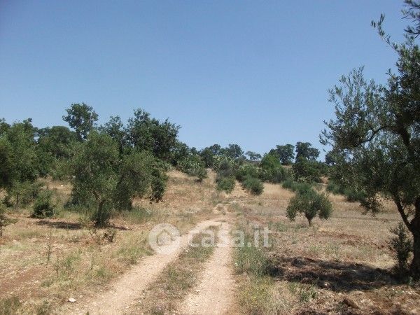 Terreno edificabile in residenziale in Strada Provinciale 76