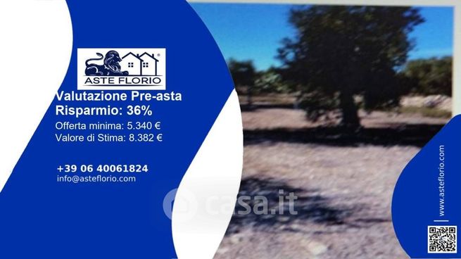 Terreno agricolo in commerciale in Strada Provinciale 56