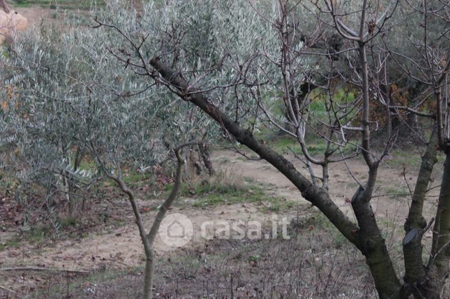 Terreno agricolo in commerciale in Via Colle d'Olivo