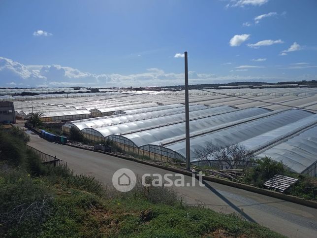 Terreno agricolo in commerciale in Contrada Passo Marinaro