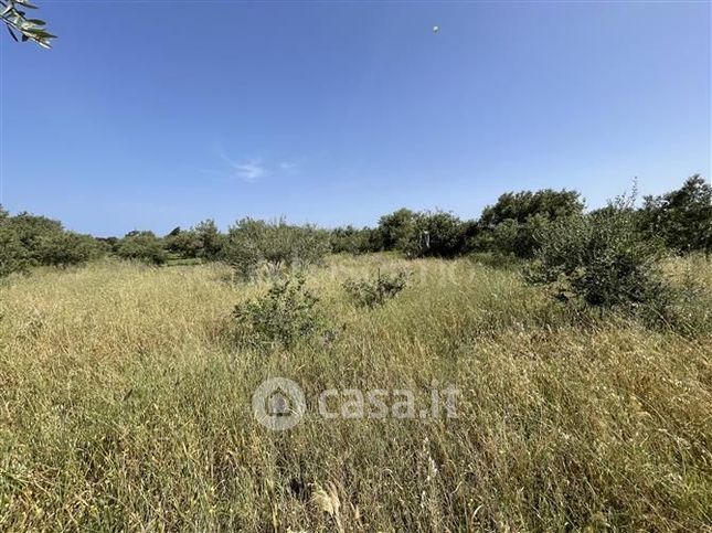 Terreno agricolo in commerciale in 