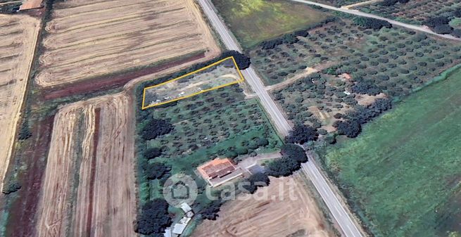 Terreno agricolo in commerciale in Strada di macchiascandona