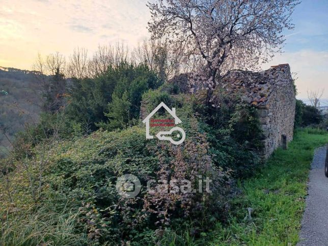 Terreno agricolo in commerciale in Contrada Gelso