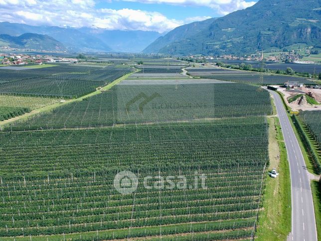 Terreno agricolo in commerciale in Strada Provinciale 54