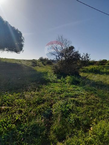 Terreno agricolo in commerciale in Strada Provinciale 51