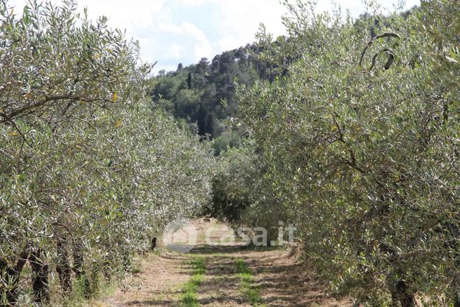 Terreno agricolo in commerciale in 