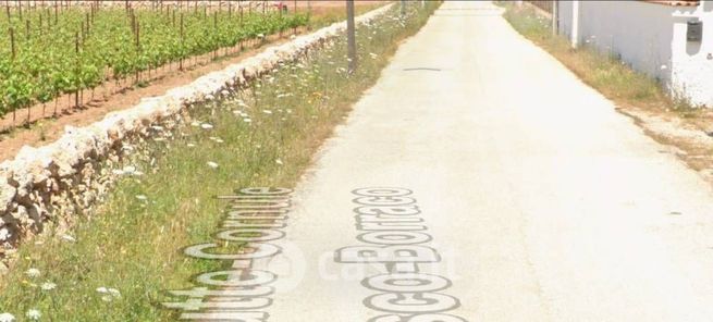 Terreno agricolo in commerciale in Via Grutte-Cornule di Fiasco-Borraco