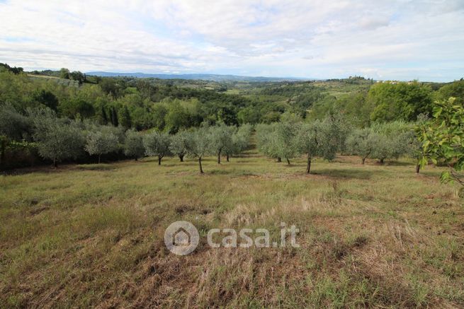 Terreno agricolo in commerciale in Via Lucardese 92