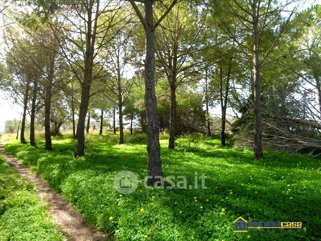 Terreno agricolo in commerciale in 