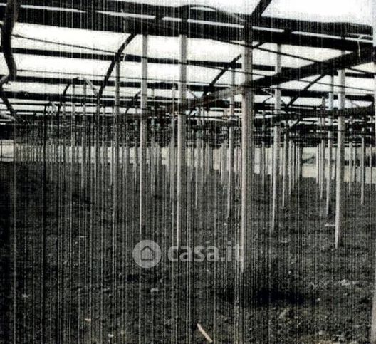 Terreno agricolo in commerciale in Via Cairoli