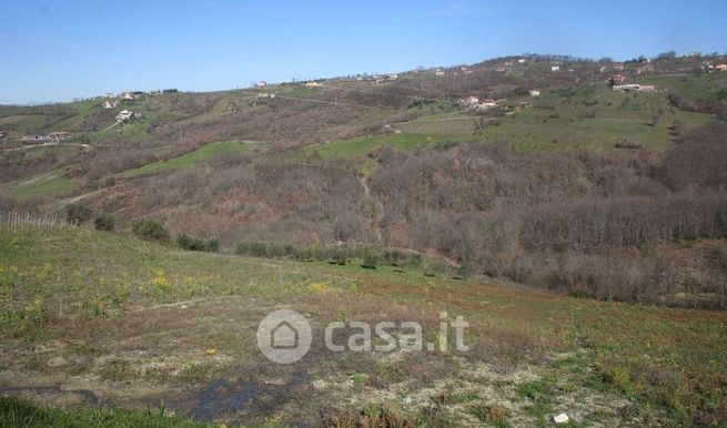 Terreno agricolo in commerciale in Contrada Mito