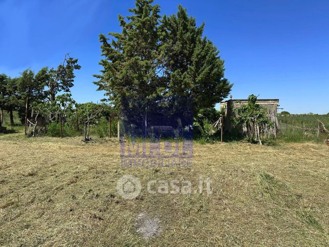 Terreno agricolo in commerciale in casal sabini