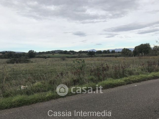 Terreno agricolo in commerciale in Via Umilta