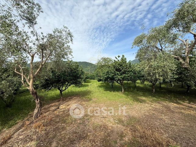 Terreno agricolo in commerciale in Via Soccorso