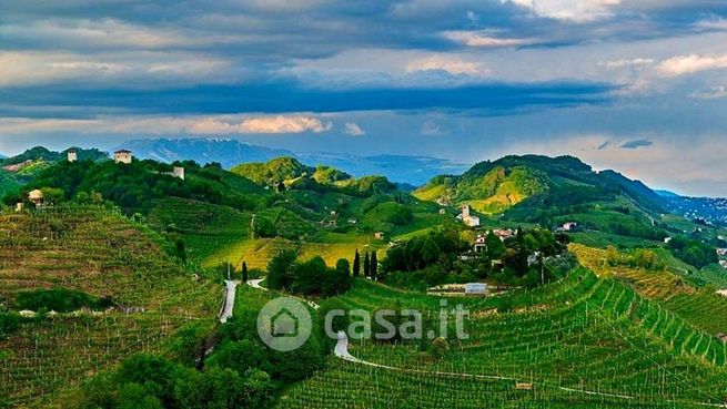 Terreno agricolo in commerciale in 