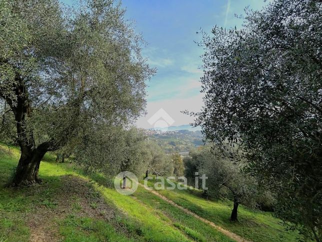 Terreno agricolo in commerciale in Via della Mola