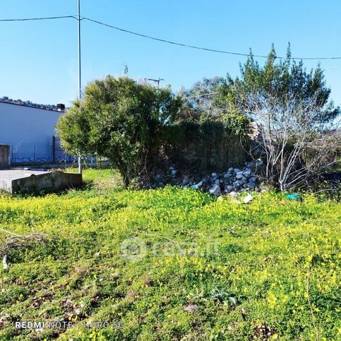 Terreno agricolo in commerciale in 