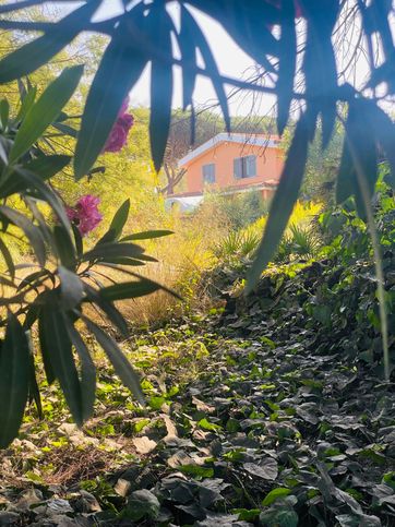 Terreno agricolo in commerciale in Via Nalles