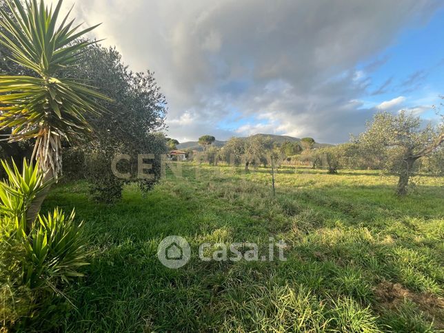 Terreno agricolo in commerciale in Via San Maria