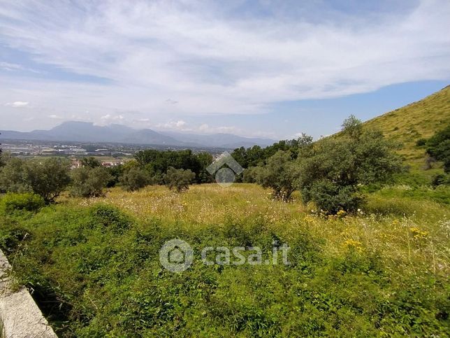 Terreno agricolo in commerciale in Via Parito