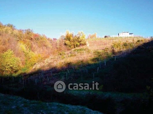 Terreno agricolo in commerciale in Via Mire