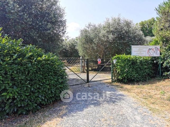 Terreno agricolo in commerciale in Via di Mezzocammino
